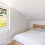 بيت خشبي Clos Saint Francois Spa- Avec Sauna Alsace