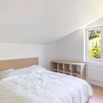 بيت خشبي Clos Saint Francois Spa- Avec Sauna Alsace Wangenbourg-Engenthal