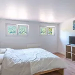 Clos Saint Francois Spa- Avec Sauna Alsace Wangenbourg-Engenthal