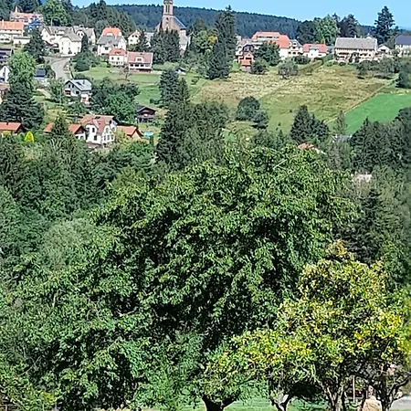 Clos Saint Francois Wangenbourg-Engenthal