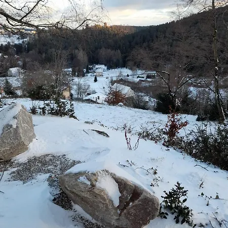 Clos Saint Francois Spa- Avec Sauna Alsace Wangenbourg-Engenthal