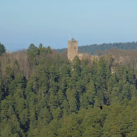 Clos Saint Francois Spa- Avec Sauna Alsace
